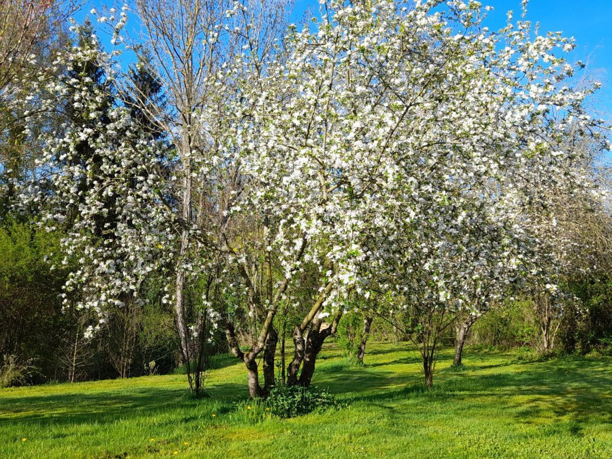 Domaine Pastel Bed and Breakfast Besson Buitenkant foto