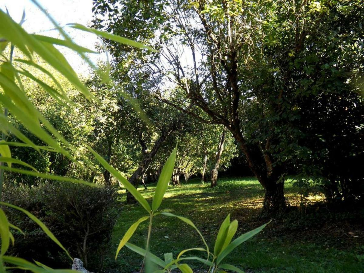 Domaine Pastel Bed and Breakfast Besson Buitenkant foto